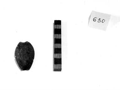 fibula/ nucleo d´ambra